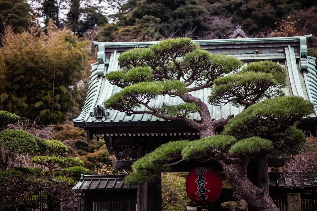 Photo from Holicay - Four Days in Tokyo: A Journey Through the Past and Present of Japan’s Capital